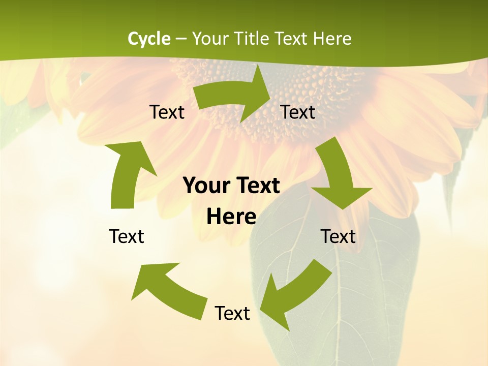 Figure Boardroom Group PowerPoint Template