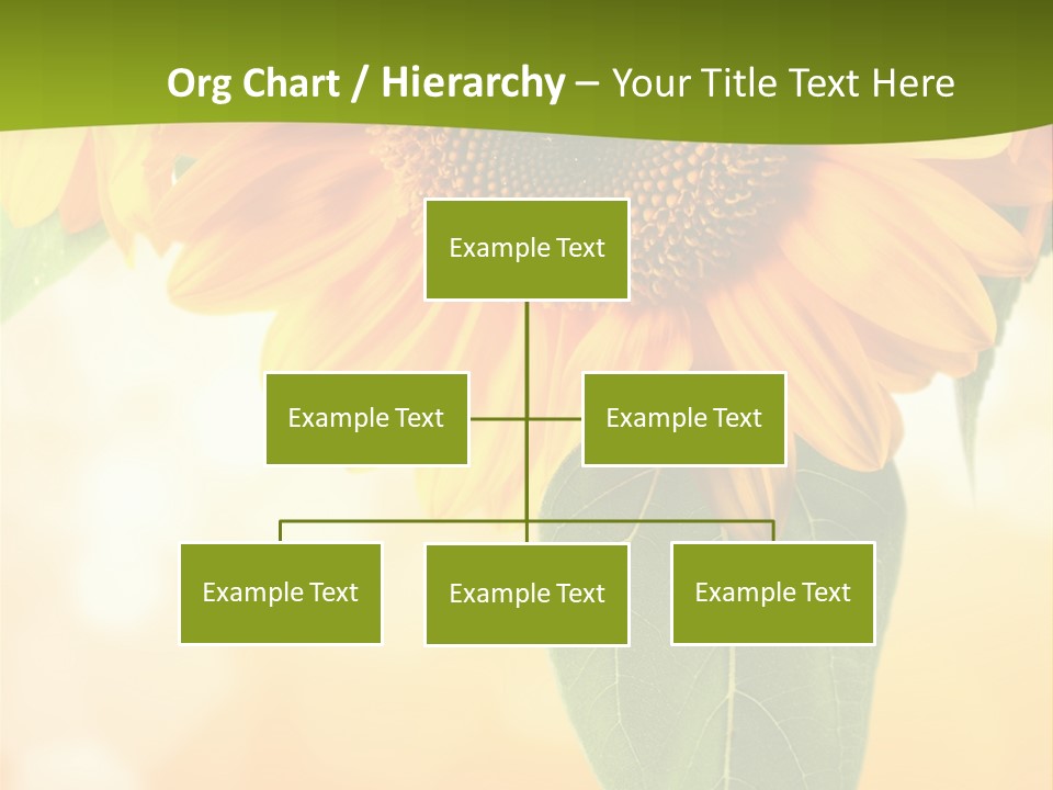 Figure Boardroom Group PowerPoint Template