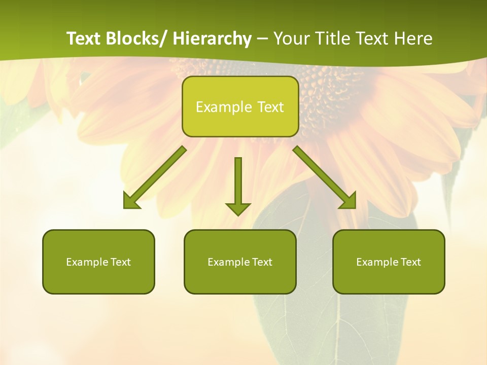 Figure Boardroom Group PowerPoint Template