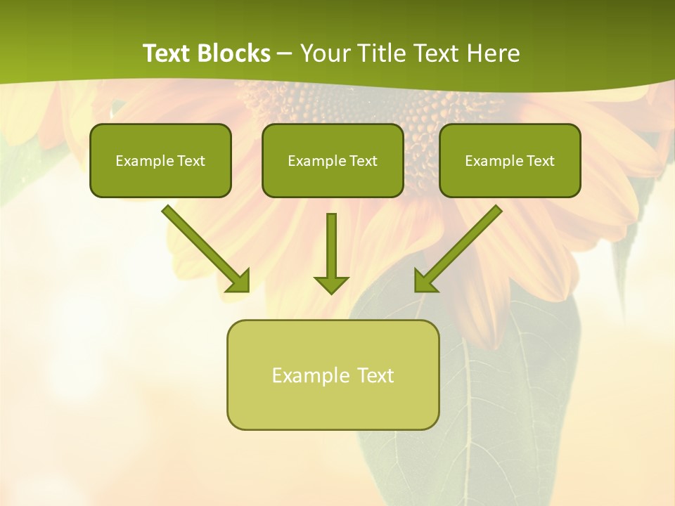 Figure Boardroom Group PowerPoint Template