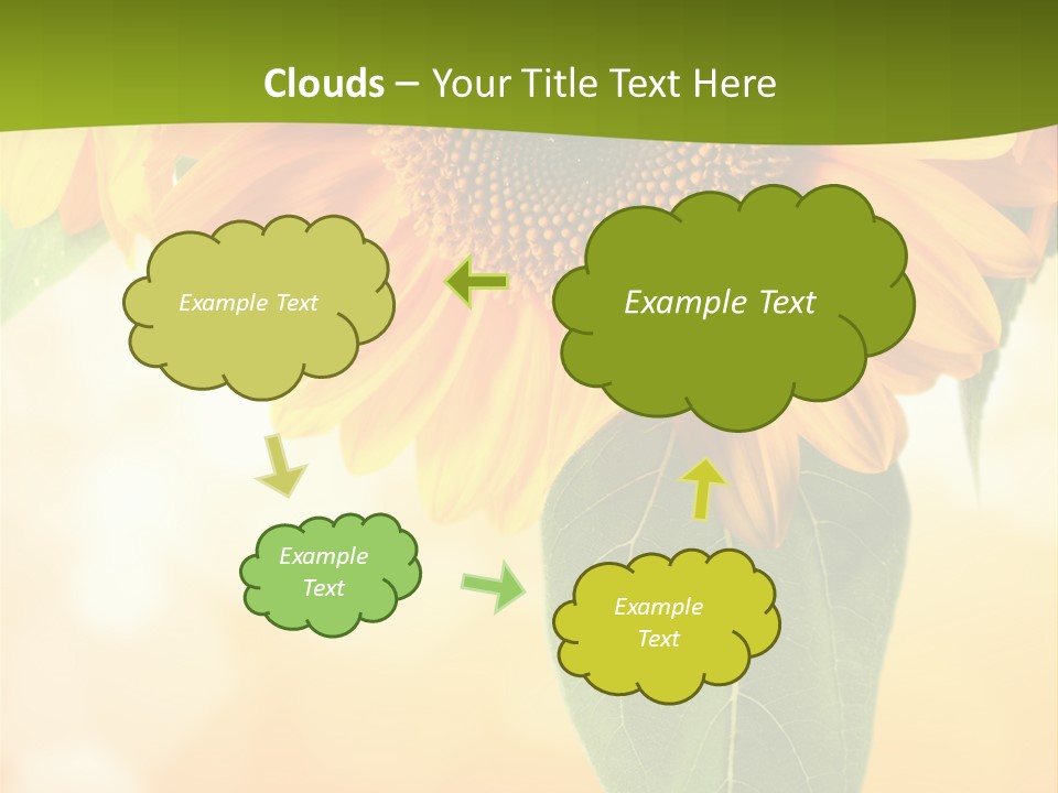 Figure Boardroom Group PowerPoint Template