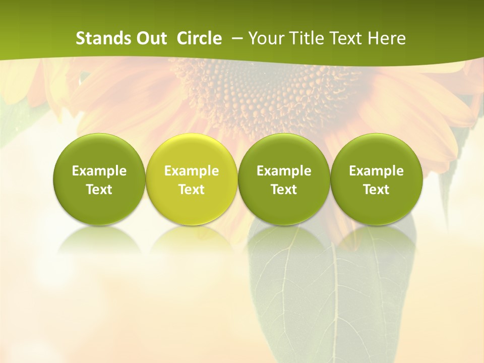 Figure Boardroom Group PowerPoint Template