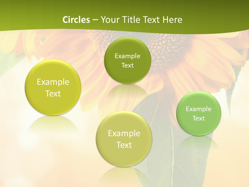 Figure Boardroom Group PowerPoint Template
