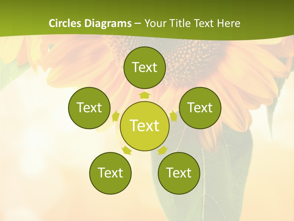 Figure Boardroom Group PowerPoint Template