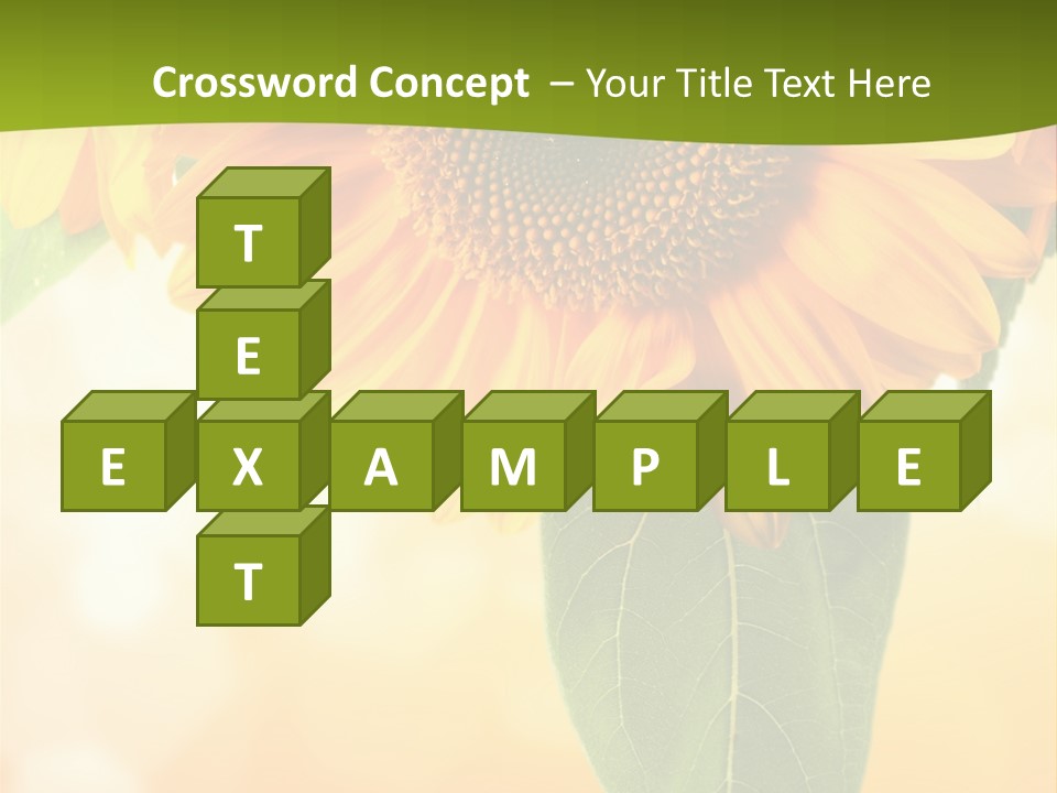 Figure Boardroom Group PowerPoint Template