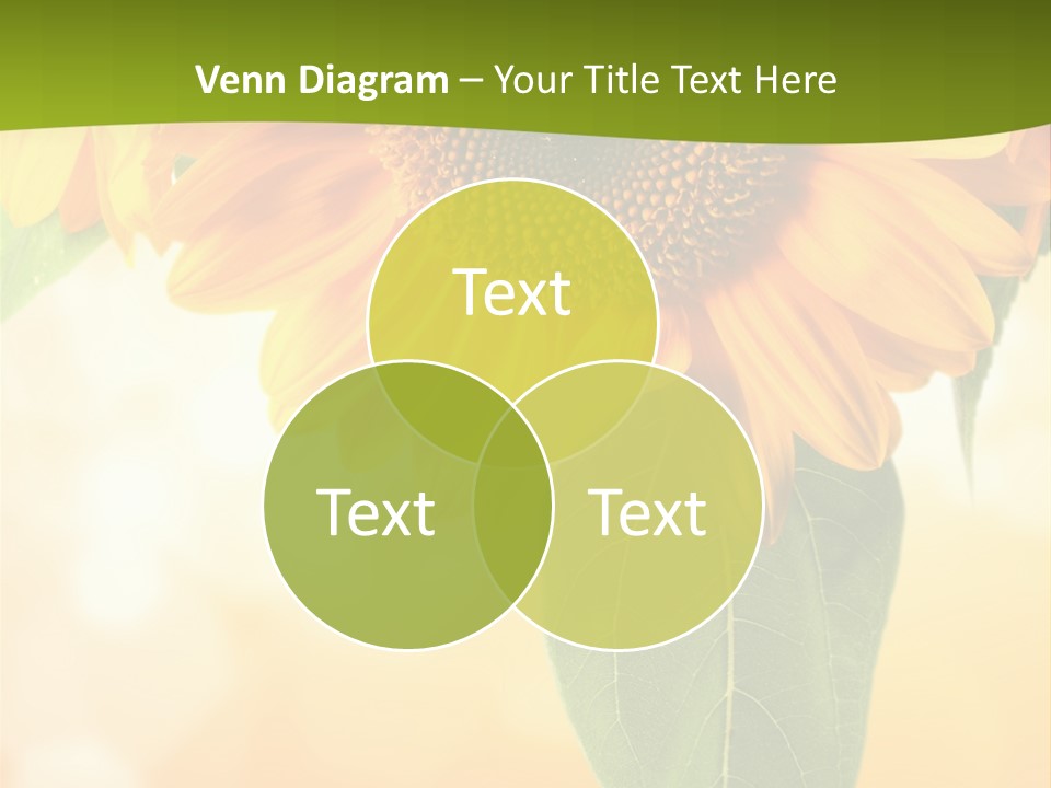 Figure Boardroom Group PowerPoint Template