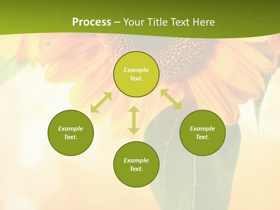 Figure Boardroom Group PowerPoint Template