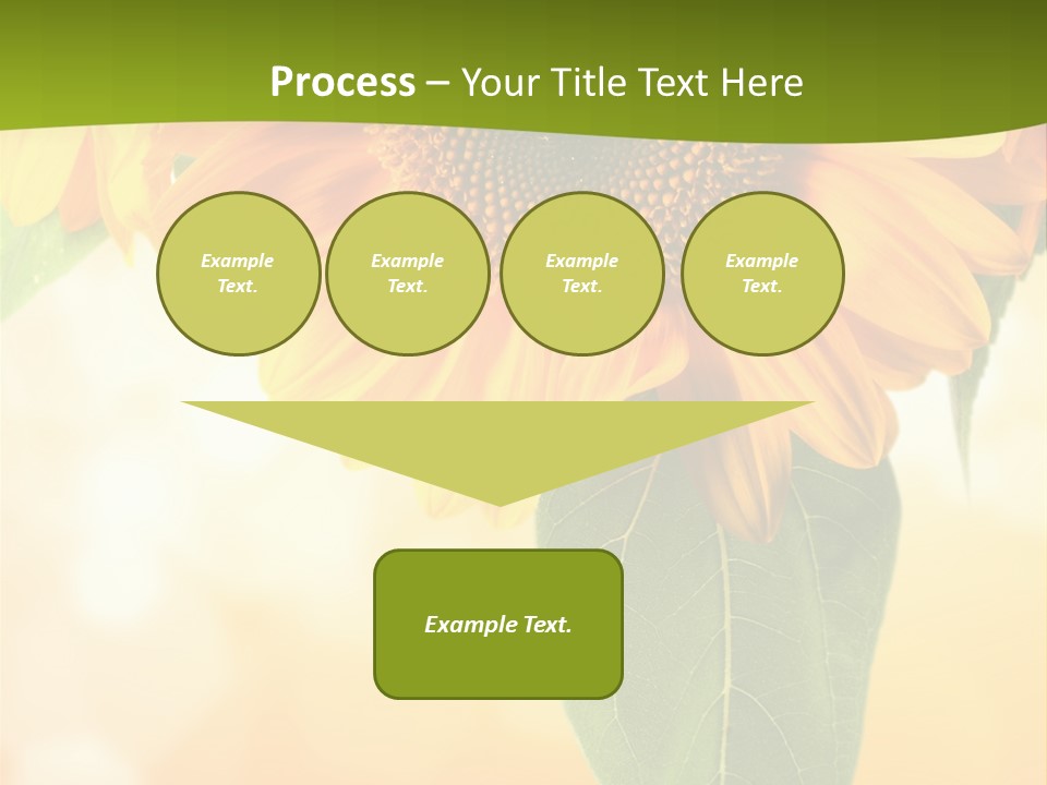 Figure Boardroom Group PowerPoint Template