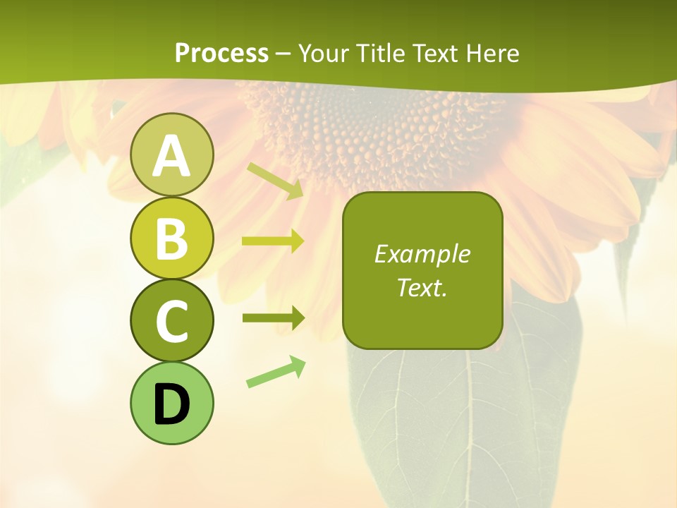 Figure Boardroom Group PowerPoint Template