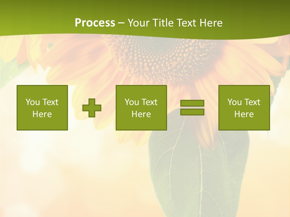Figure Boardroom Group PowerPoint Template