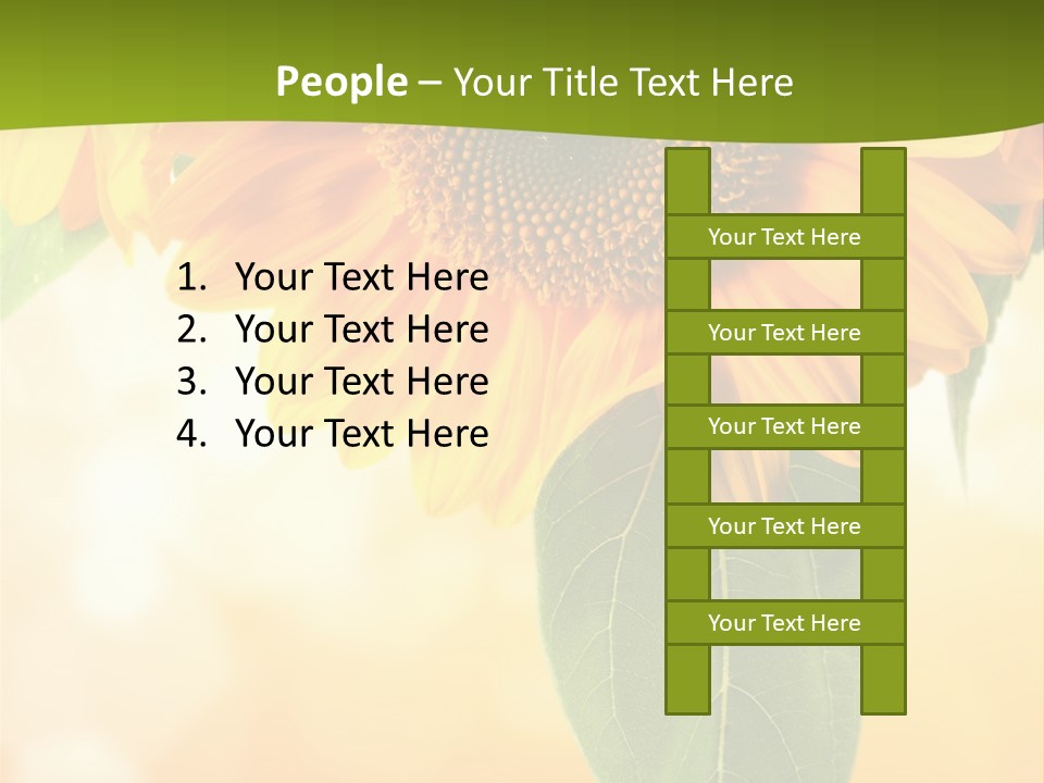 Figure Boardroom Group PowerPoint Template