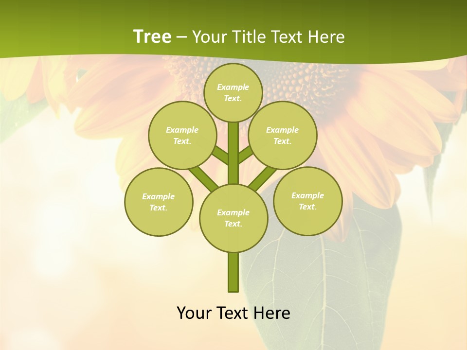 Figure Boardroom Group PowerPoint Template