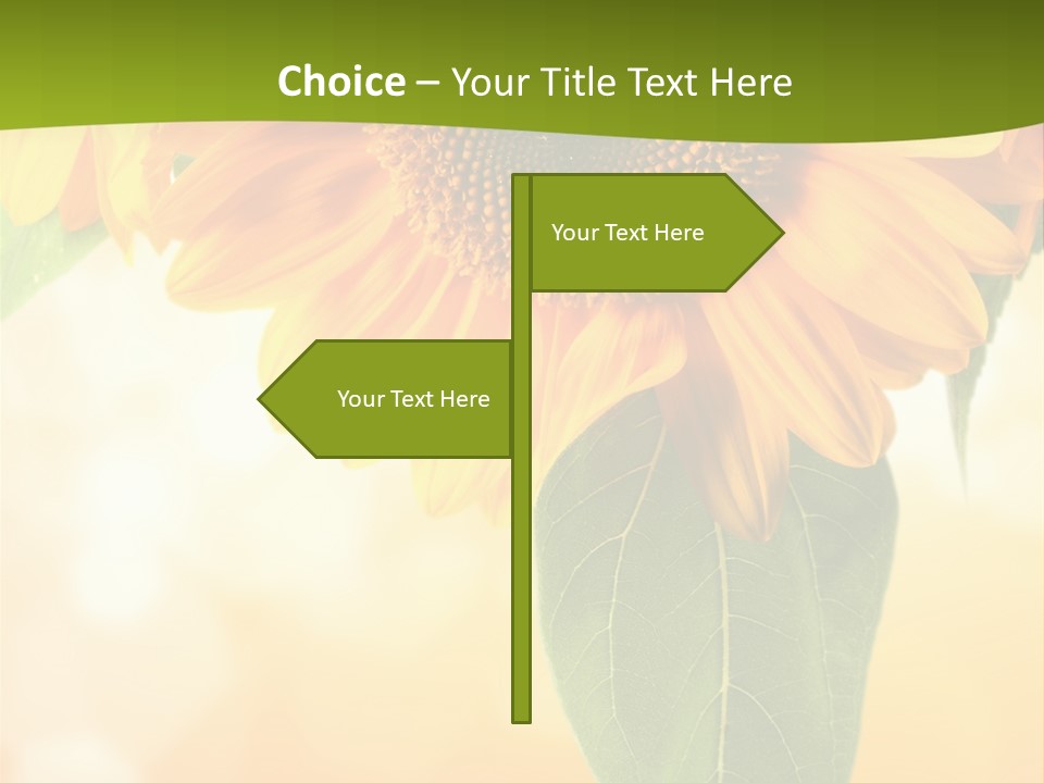 Figure Boardroom Group PowerPoint Template