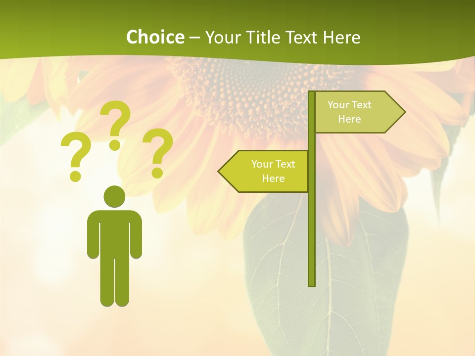 Figure Boardroom Group PowerPoint Template