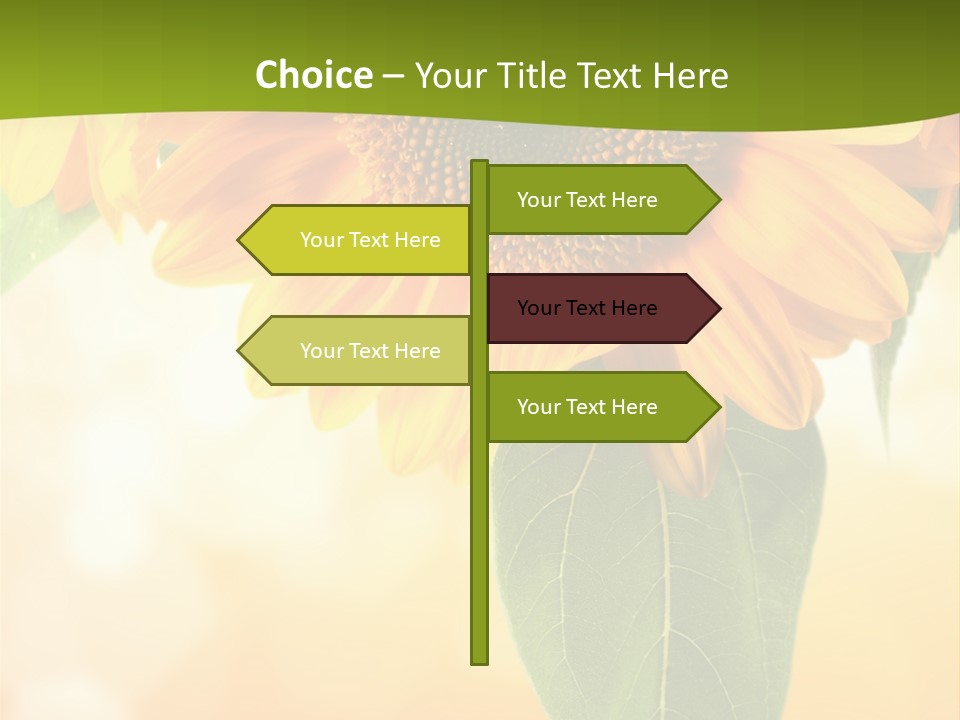 Figure Boardroom Group PowerPoint Template