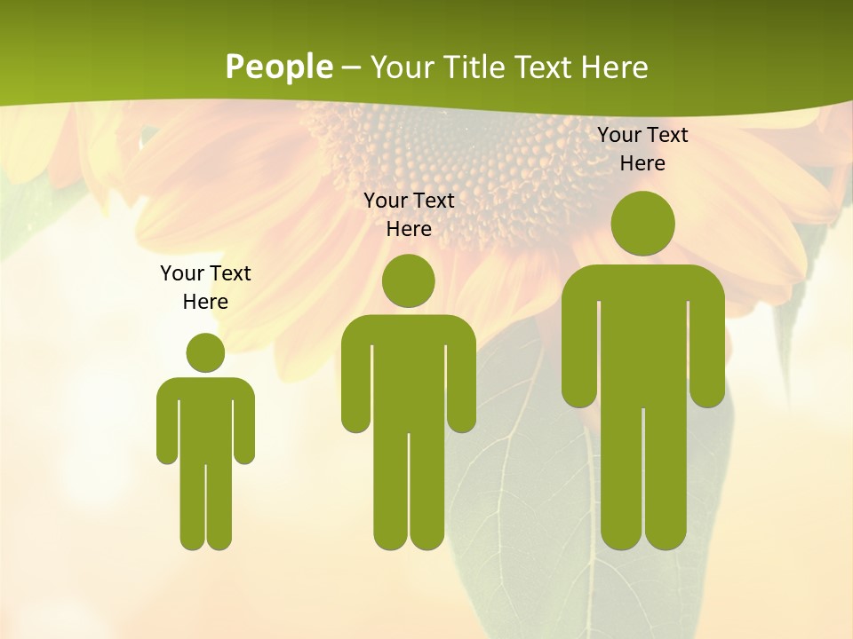 Figure Boardroom Group PowerPoint Template