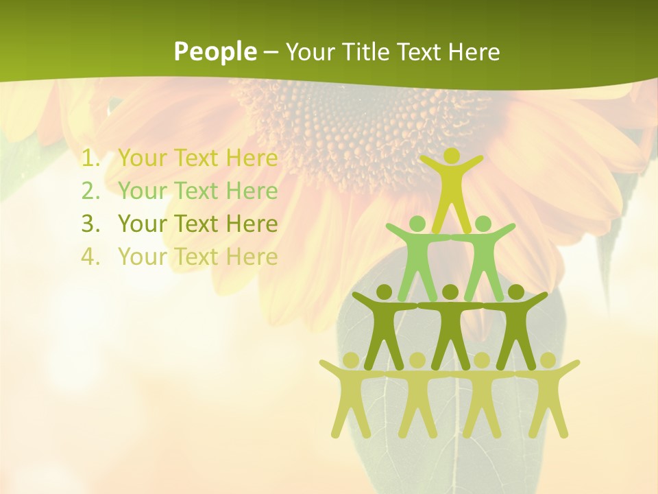 Figure Boardroom Group PowerPoint Template