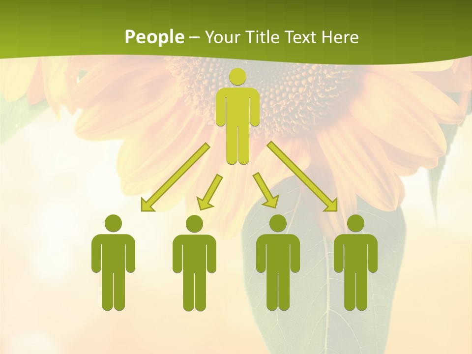 Figure Boardroom Group PowerPoint Template