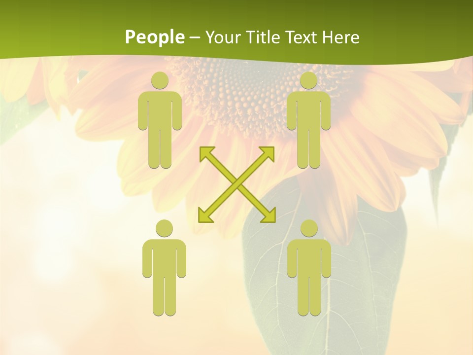 Figure Boardroom Group PowerPoint Template