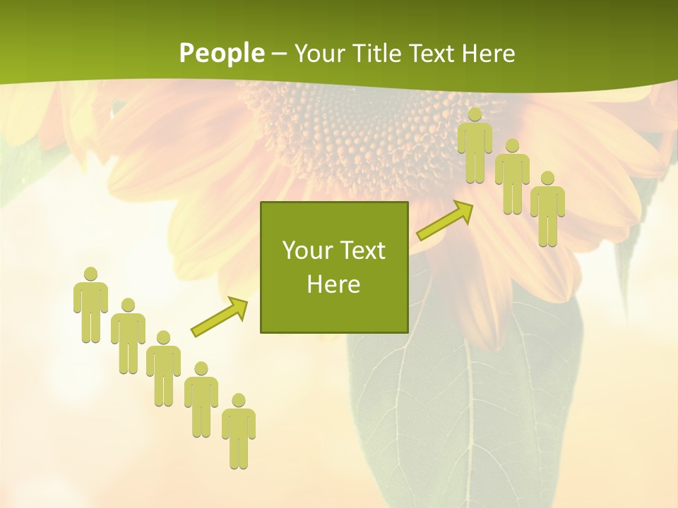 Figure Boardroom Group PowerPoint Template