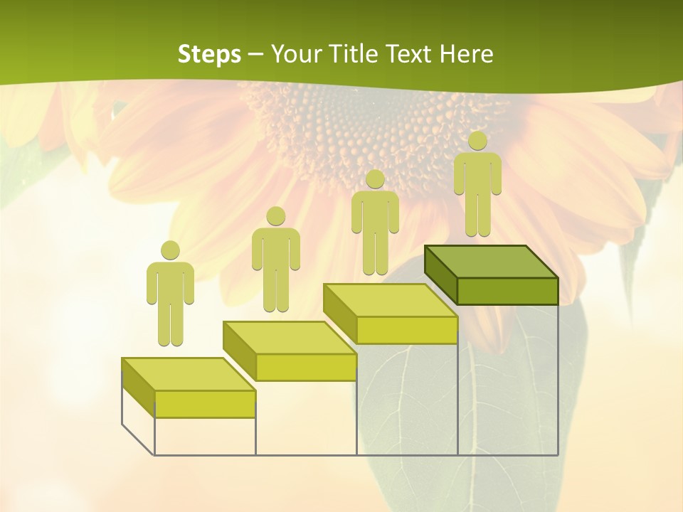 Figure Boardroom Group PowerPoint Template