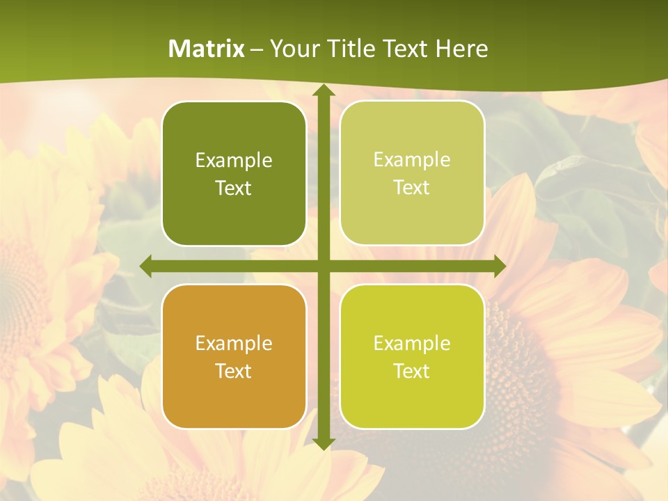 Di Cu Ion Character Humorou PowerPoint Template