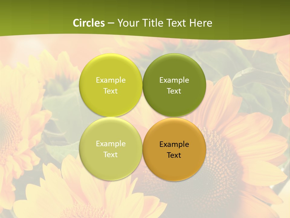 Di Cu Ion Character Humorou PowerPoint Template