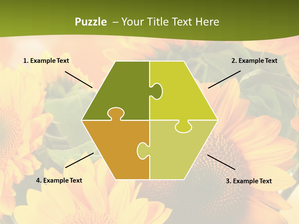 Di Cu Ion Character Humorou PowerPoint Template