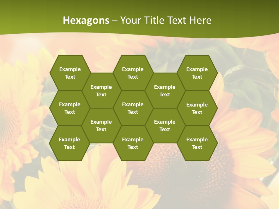 Di Cu Ion Character Humorou PowerPoint Template