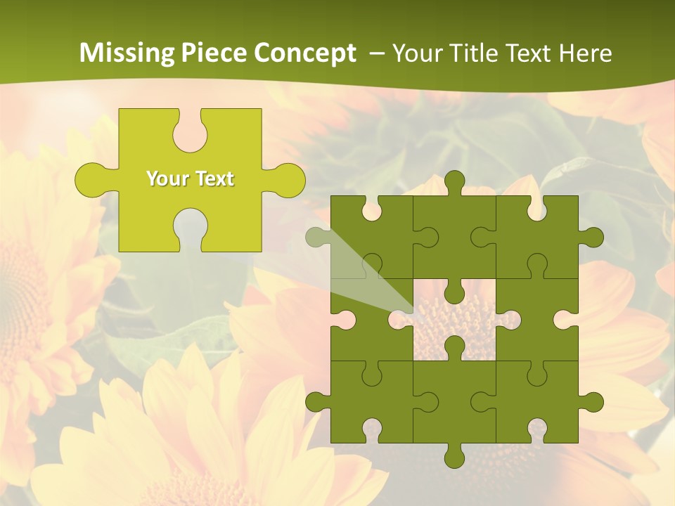 Di Cu Ion Character Humorou PowerPoint Template