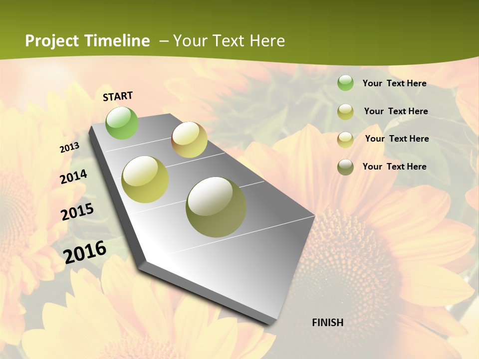 Di Cu Ion Character Humorou PowerPoint Template