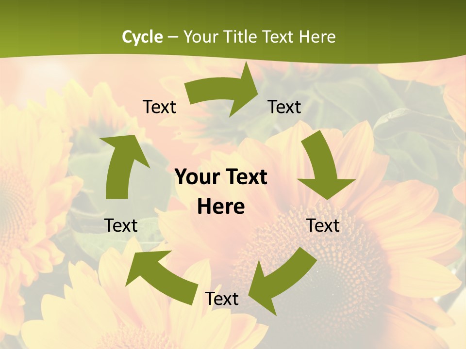 Di Cu Ion Character Humorou PowerPoint Template