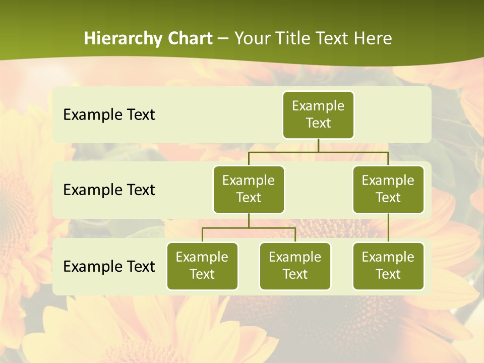 Di Cu Ion Character Humorou PowerPoint Template