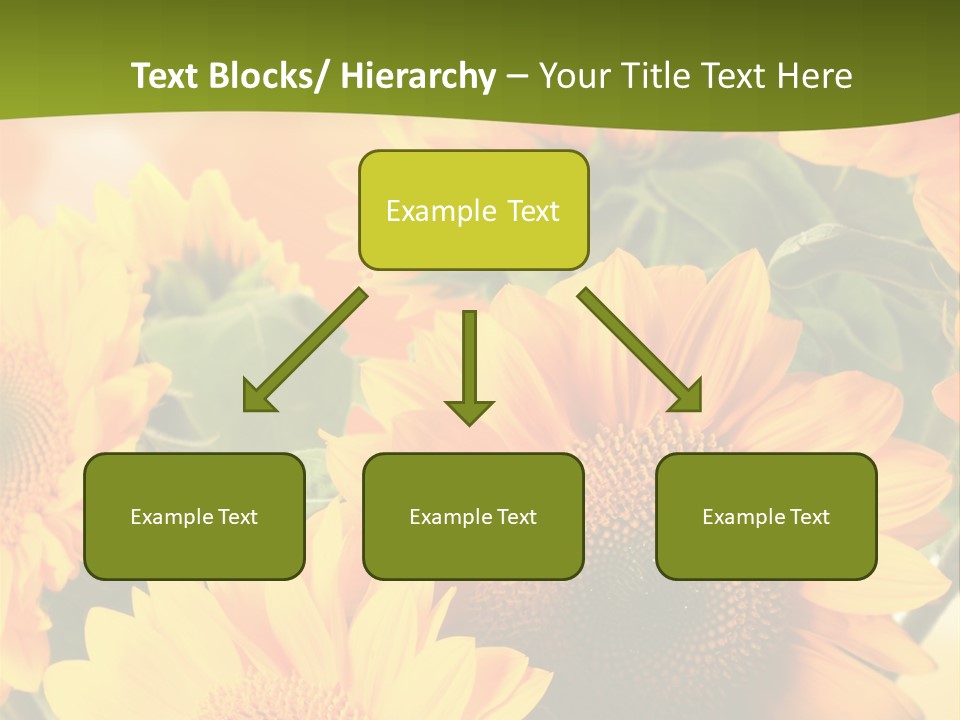 Di Cu Ion Character Humorou PowerPoint Template