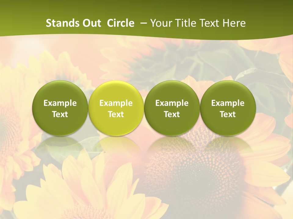 Di Cu Ion Character Humorou PowerPoint Template