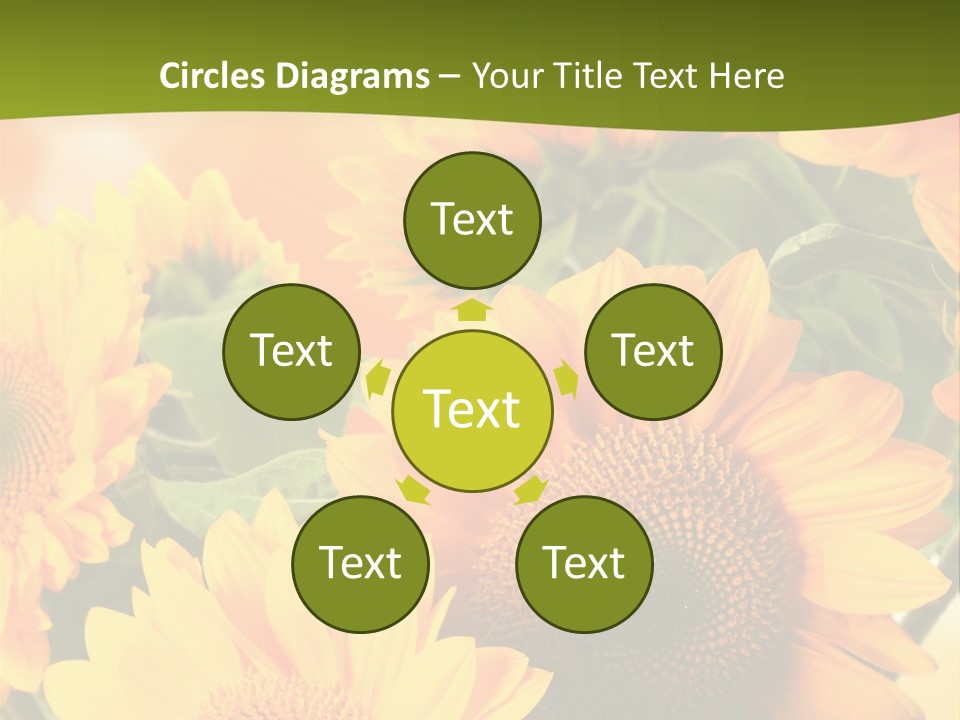 Di Cu Ion Character Humorou PowerPoint Template