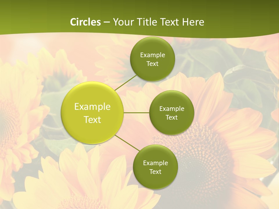 Di Cu Ion Character Humorou PowerPoint Template