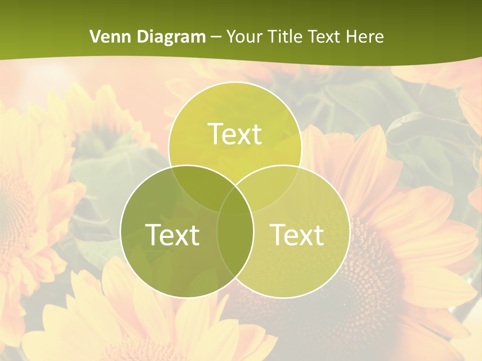 Di Cu Ion Character Humorou PowerPoint Template