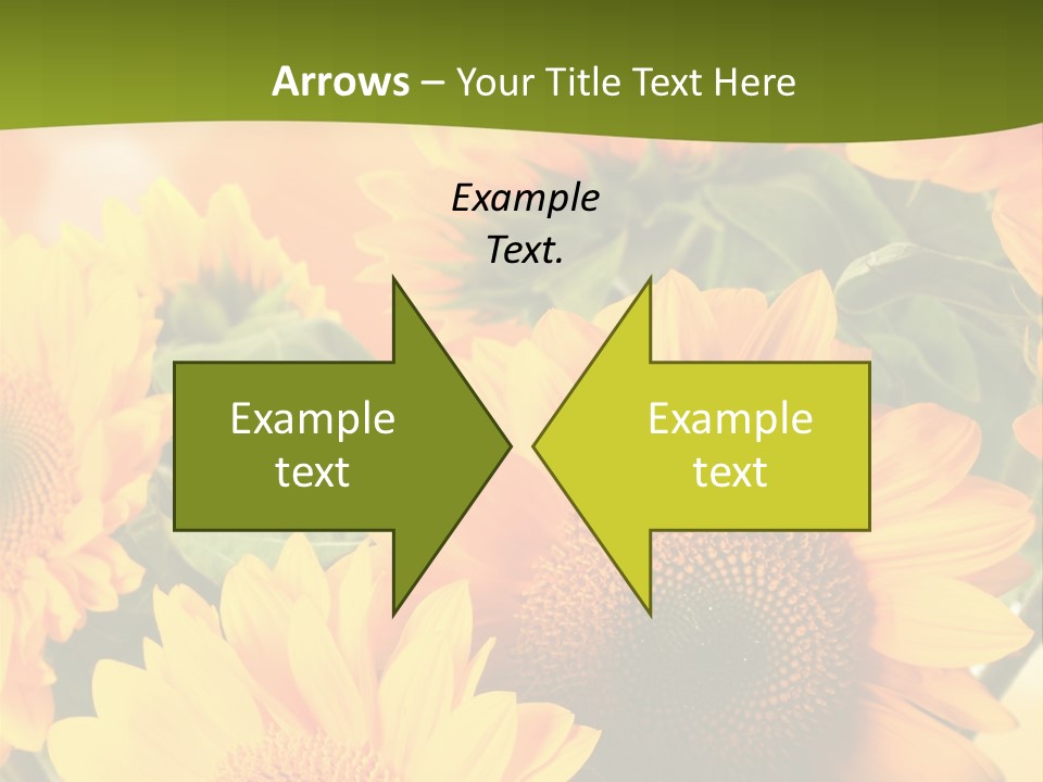 Di Cu Ion Character Humorou PowerPoint Template