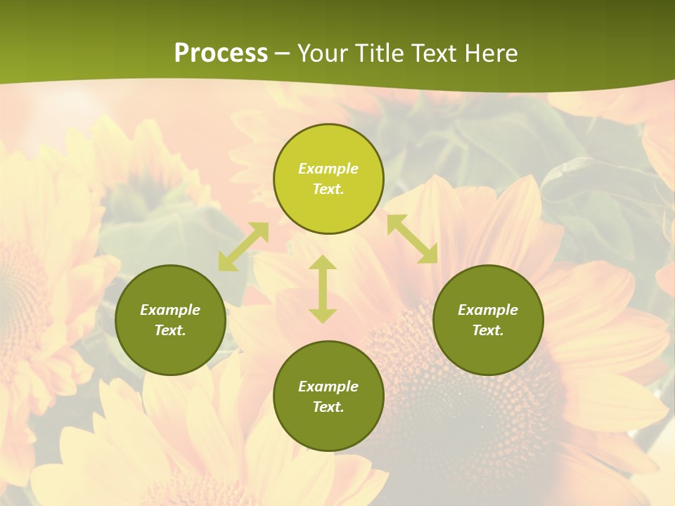 Di Cu Ion Character Humorou PowerPoint Template