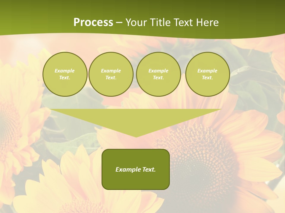 Di Cu Ion Character Humorou PowerPoint Template