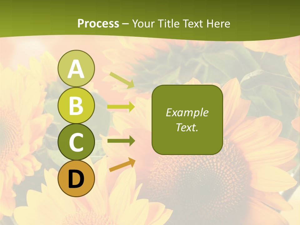 Di Cu Ion Character Humorou PowerPoint Template