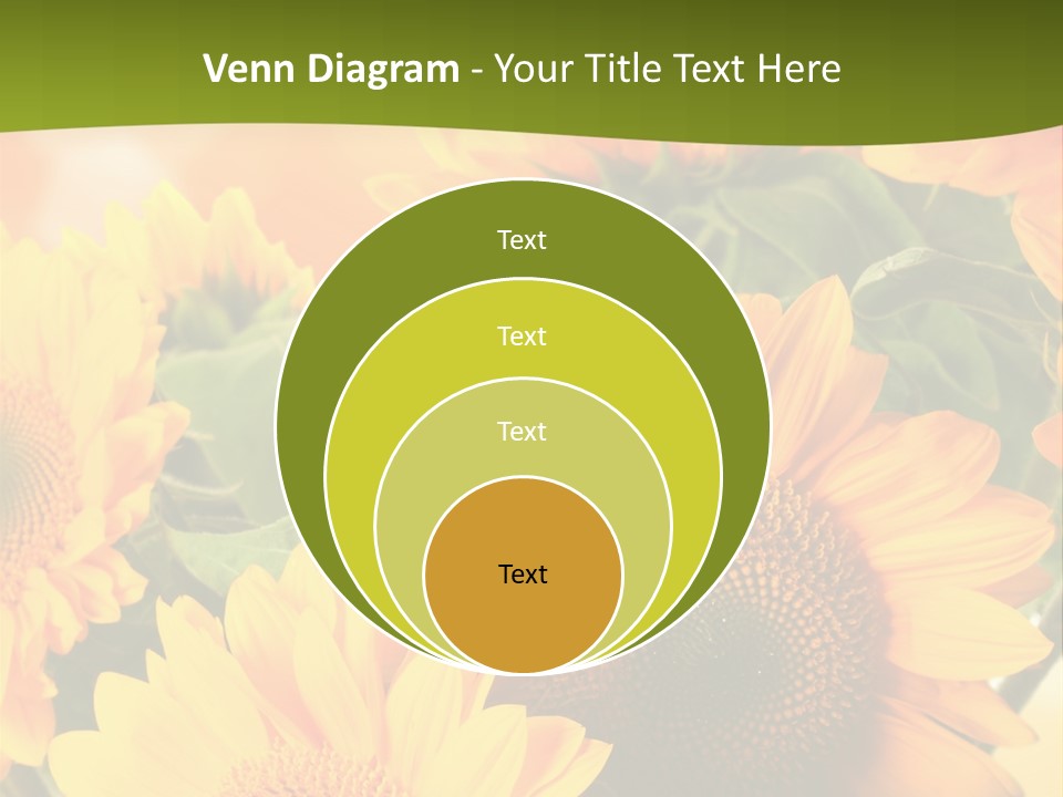 Di Cu Ion Character Humorou PowerPoint Template