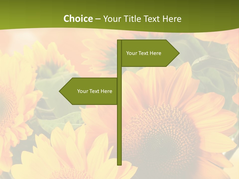 Di Cu Ion Character Humorou PowerPoint Template