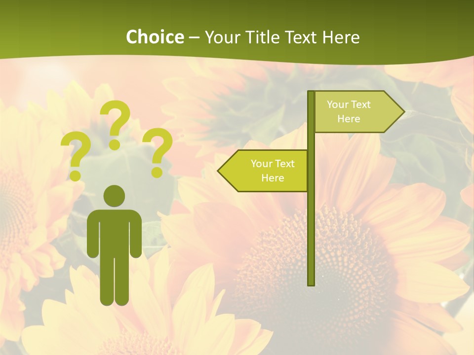 Di Cu Ion Character Humorou PowerPoint Template