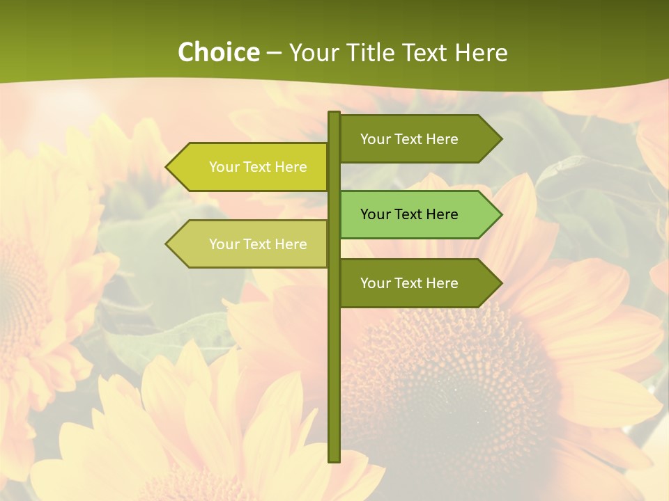 Di Cu Ion Character Humorou PowerPoint Template