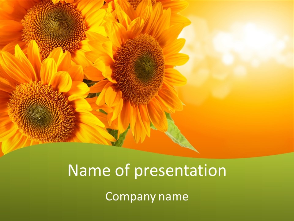 Bu Ine Li Ten Per On PowerPoint Template