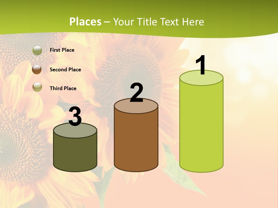 Bu Ine Li Ten Per On PowerPoint Template
