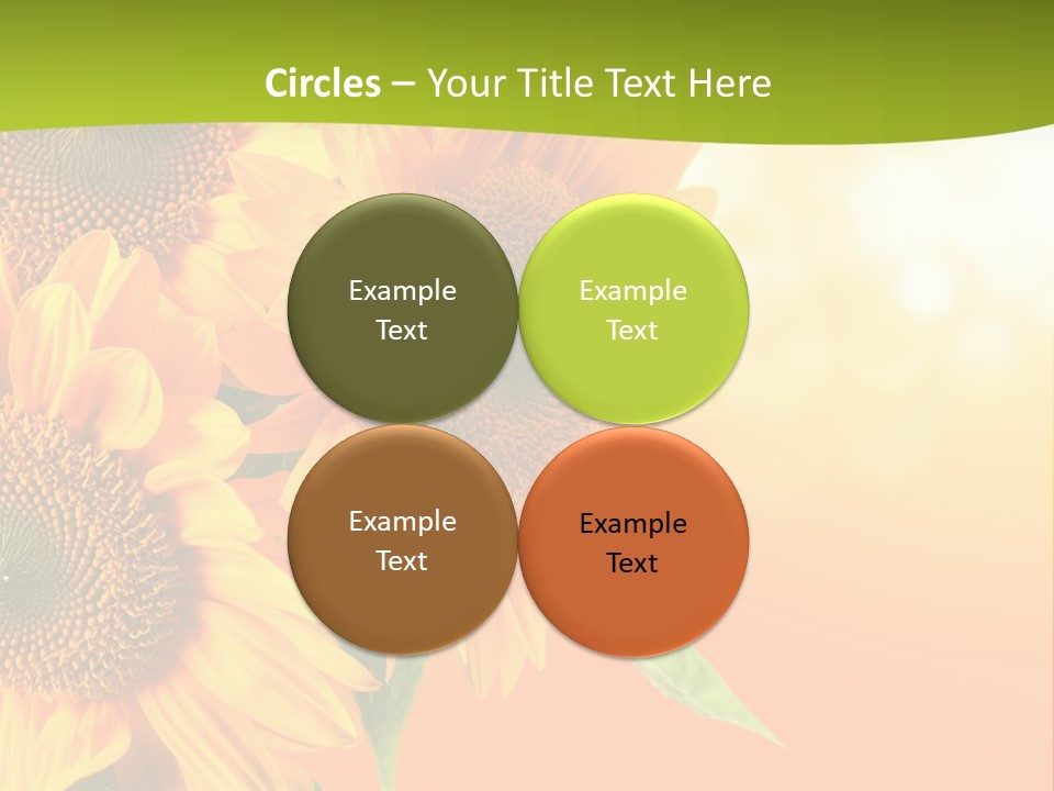 Bu Ine Li Ten Per On PowerPoint Template