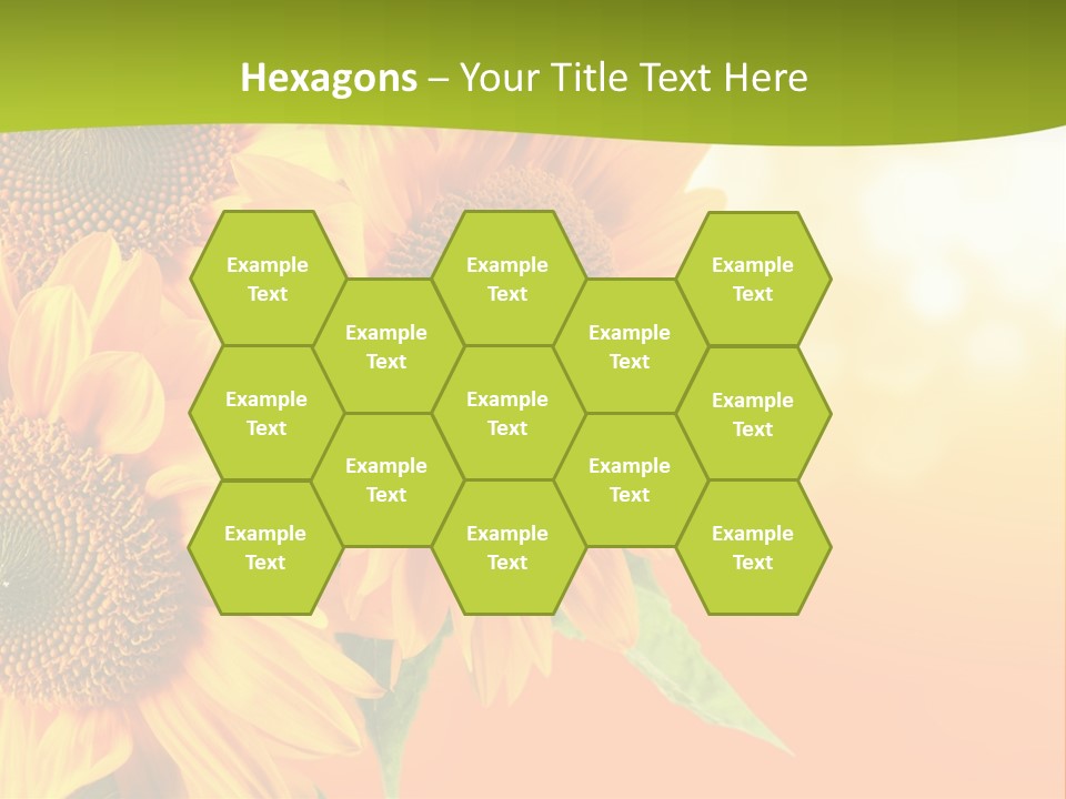 Bu Ine Li Ten Per On PowerPoint Template